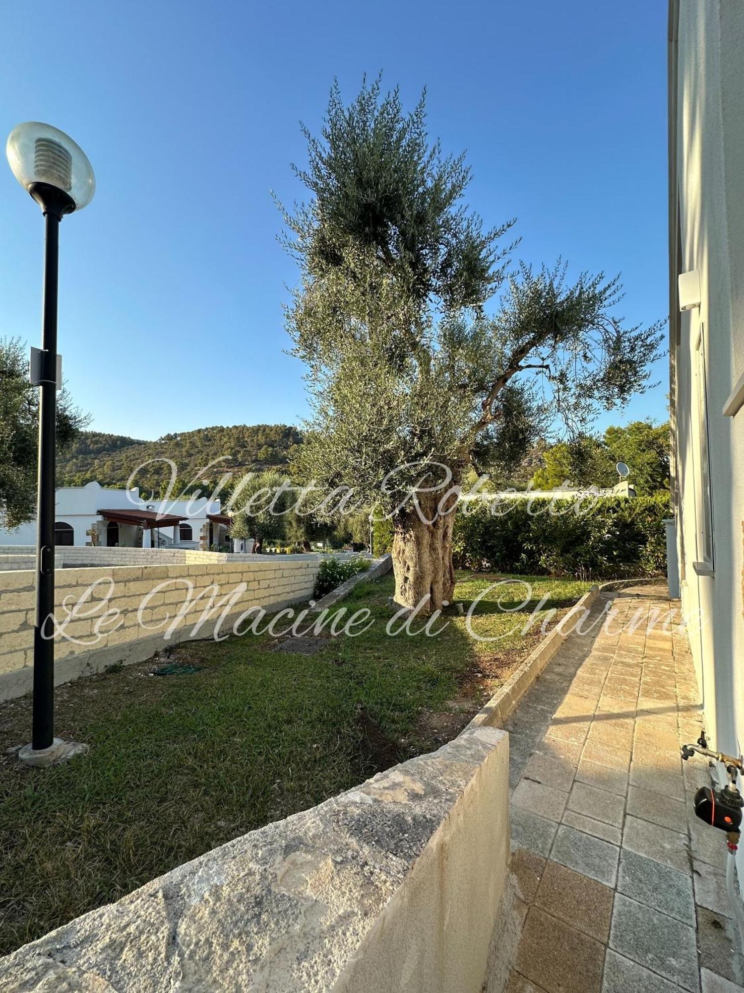 Villetta Roberto Le Macine Di Charme - Pugnochiuso Resort Vieste Dış mekan fotoğraf