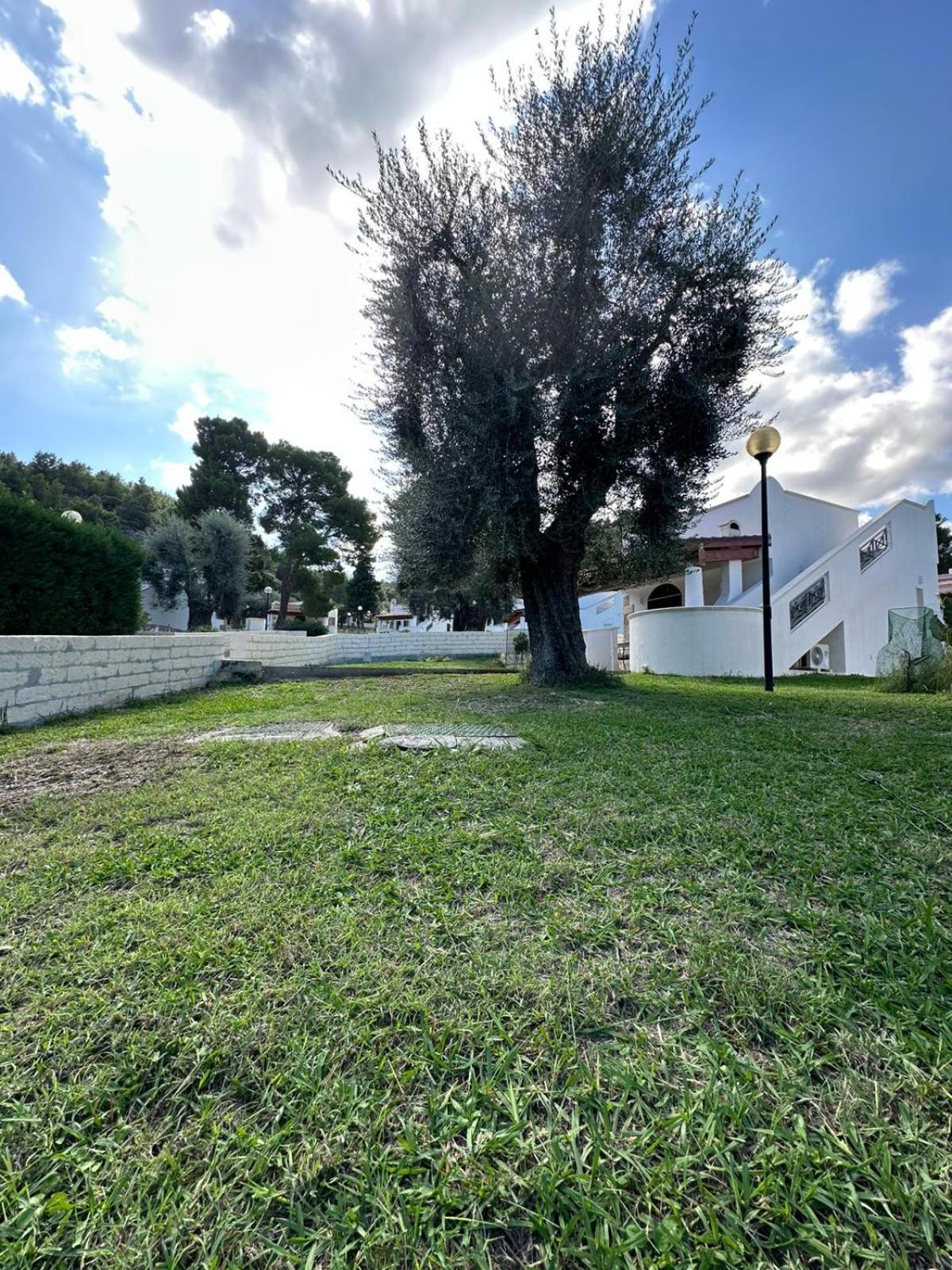 Villetta Roberto Le Macine Di Charme - Pugnochiuso Resort Vieste Dış mekan fotoğraf