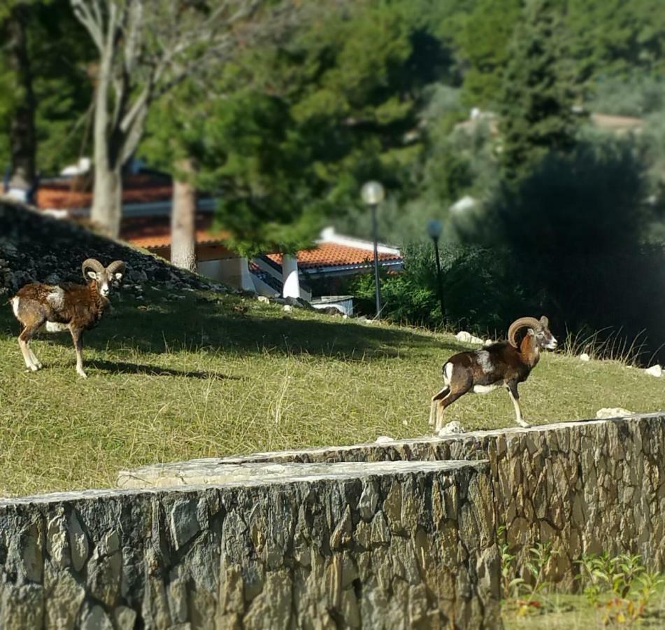 Villetta Roberto Le Macine Di Charme - Pugnochiuso Resort Vieste Dış mekan fotoğraf